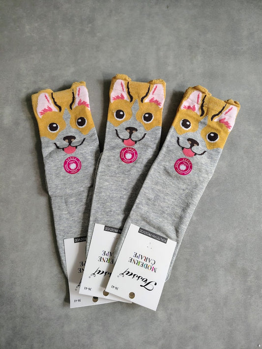🐶Pejskové ponožky - Corgi